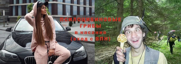 каннабис Алексеевка
