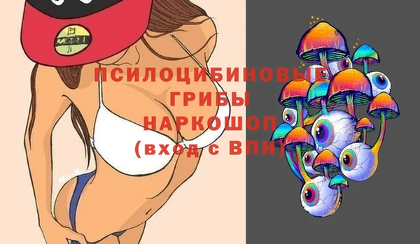 скорость Алзамай